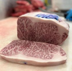 vita wagyu, vrabioara de vita wagyu japonia, miyazaki